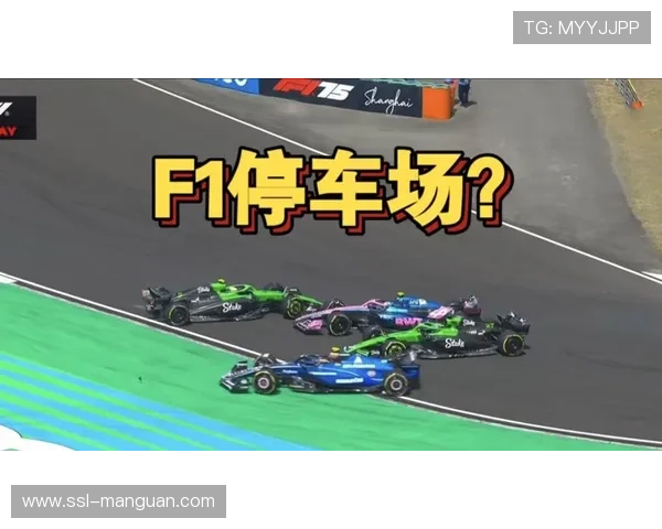 正赛起步混乱：汉密尔顿赛车受损，本土车手博托莱托碰撞退赛引发安全车