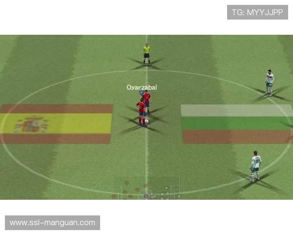 世界杯欧洲区预选赛：波兰主场30-28险胜斯洛文尼亚